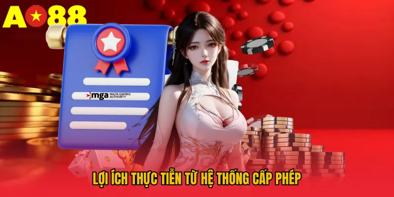 Lợi ích thực tiễn từ hệ thống cấp phép 